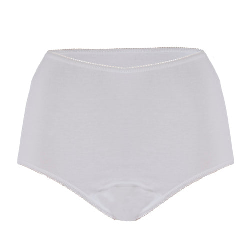 Women’s Daytime Brief with Built In Absorbent Pad Reusable (100ml)