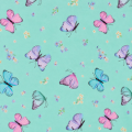 Turquiose Butterfly